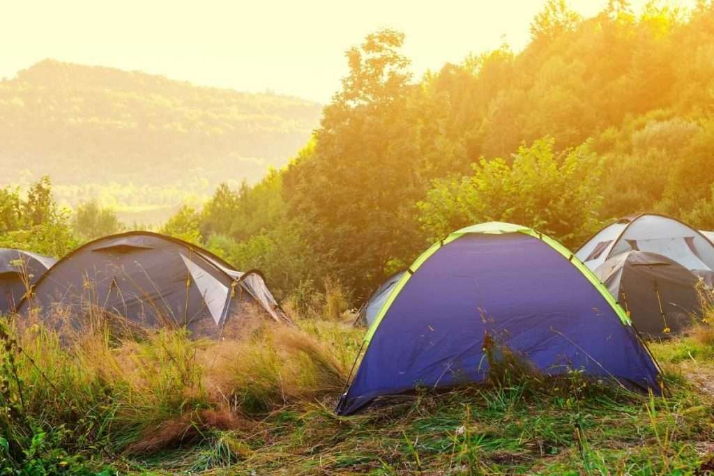 Descifrando las diferencias: carpas de 3 y 4 estaciones
