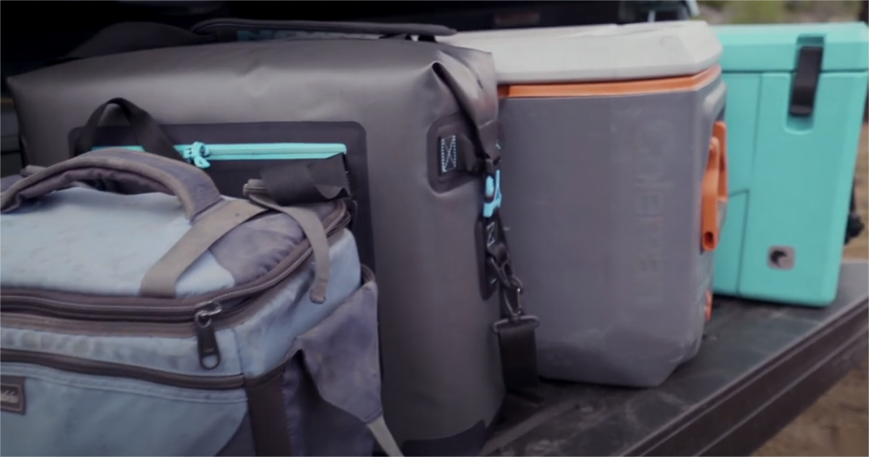 Refrigerador versus refrigerador: elegir la opción correcta para viajar por tierra