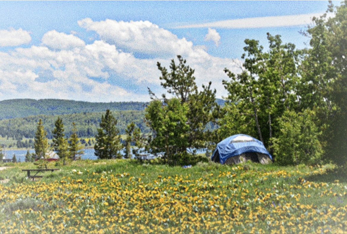 Cómo tener una experiencia de campamento perfecta