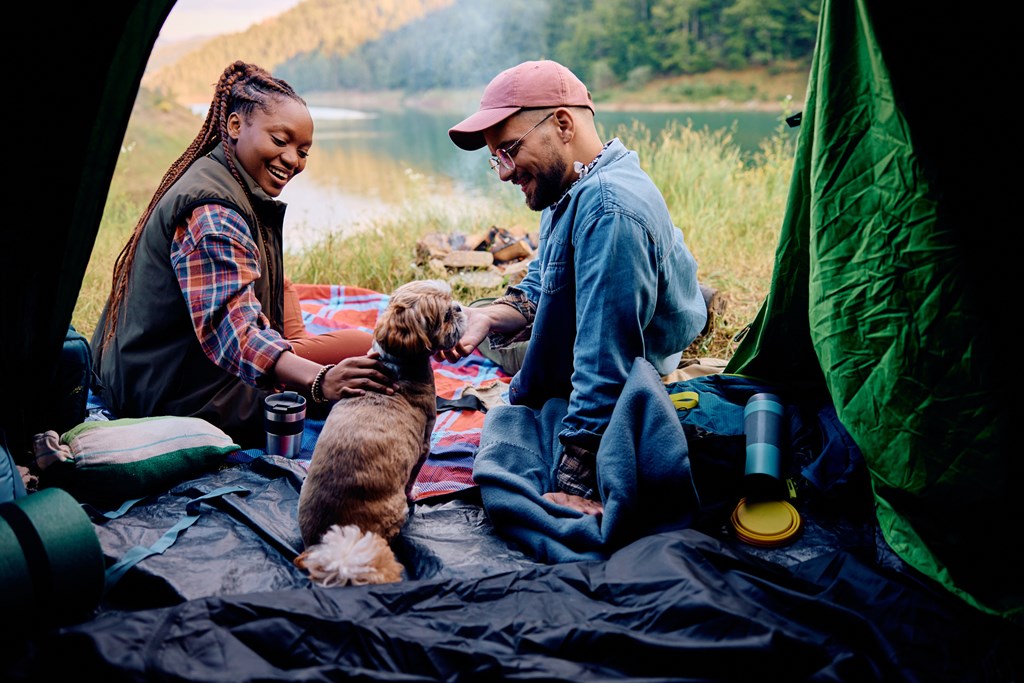 Acampar con tu mascota: una guía completa